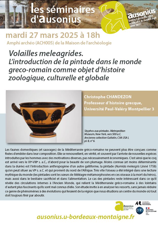 Volailles meleagrides
